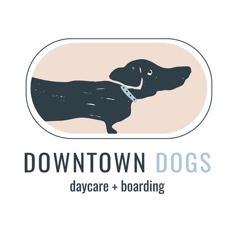 minneapolis downtown dogs|Downtown Dogs, Dog Daycare and Boarding .